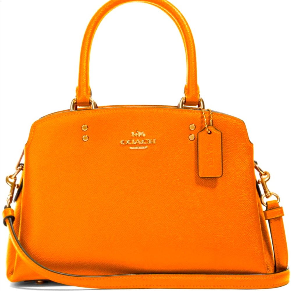 Coach Lillie Carryall NWT